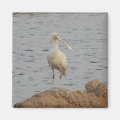 スプーンの鳥 マグネット (正面)