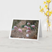 スプーンビル カード (黄色い花)