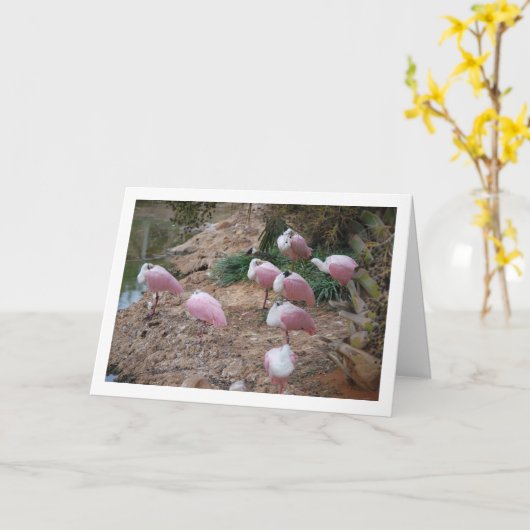 スプーンビル カード (黄色い花)