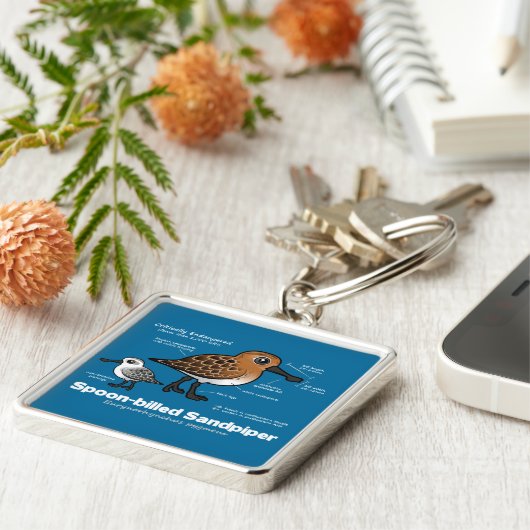 スプーン勘定書を出されたシギの統計量 キーホルダー (側面)