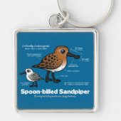 スプーン勘定書を出されたシギの統計量 キーホルダー (正面)