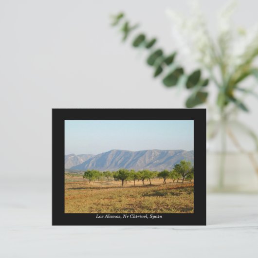 スペかわいらしイン， Nr Chirivel, Los Alamosのはがき ポストカード (スタンド正面)