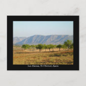 スペかわいらしイン， Nr Chirivel, Los Alamosのはがき ポストカード (正面)