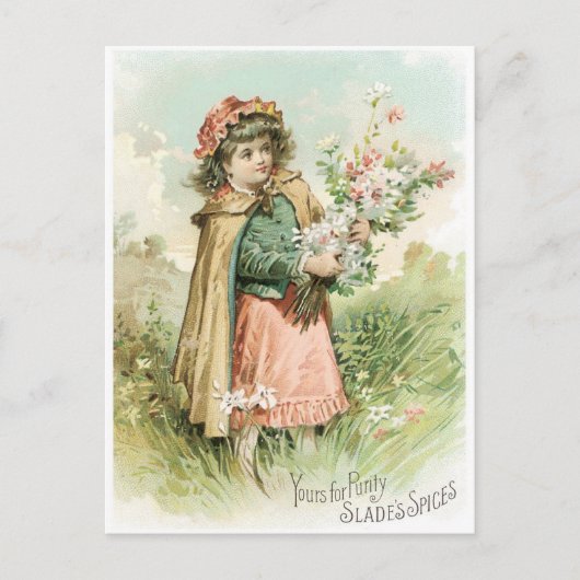 スペイスをスラデス ポストカード (正面)