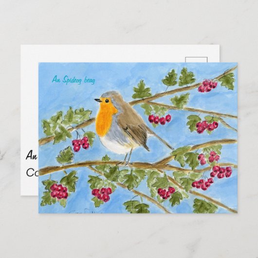 スペイドッグのビーグのはがき ポストカード (正面/裏面)