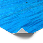 スペインでイルカと泳ぐ ポスター (角)