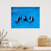 スペインでイルカと泳ぐ ポスター (キッチン)