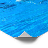 スペインで5頭のイルカと一緒に泳ぐ ポスター (角)