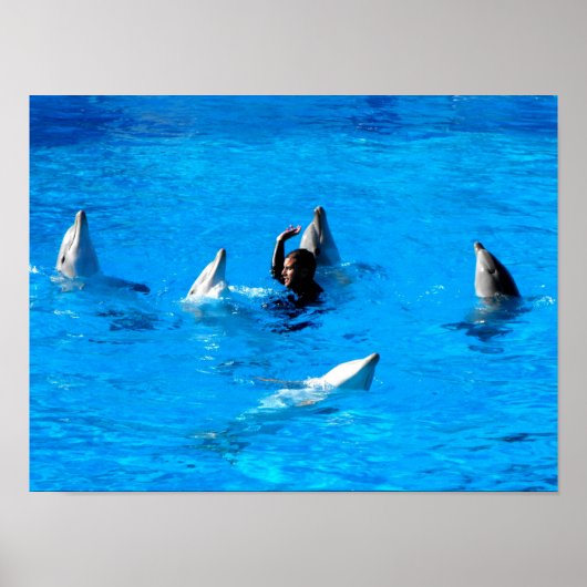 スペインで5頭のイルカと一緒に泳ぐ ポスター (正面)