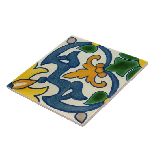 スペインので装飾的な陶磁器の写真のタイル タイル (側面)