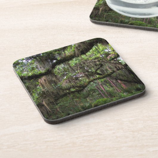 スペインのなコケはリブオークを飾りました コースター (左側)