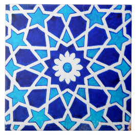 スペインのなブルースターの陶磁器の写真のタイル タイル