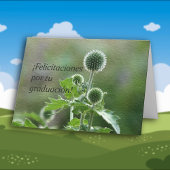 スペインのな卒業 カード