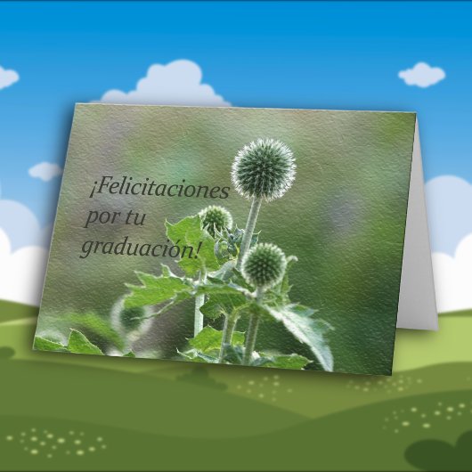 スペインのな卒業 カード