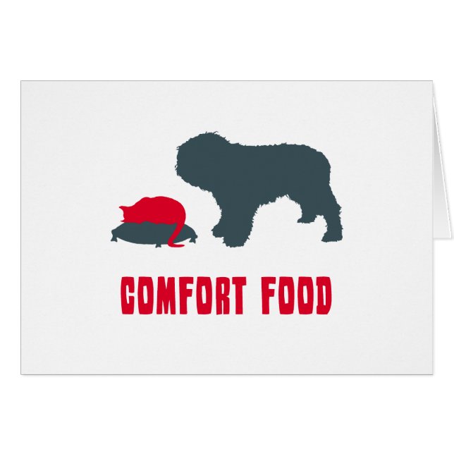 スペインのな水犬 (正面横)