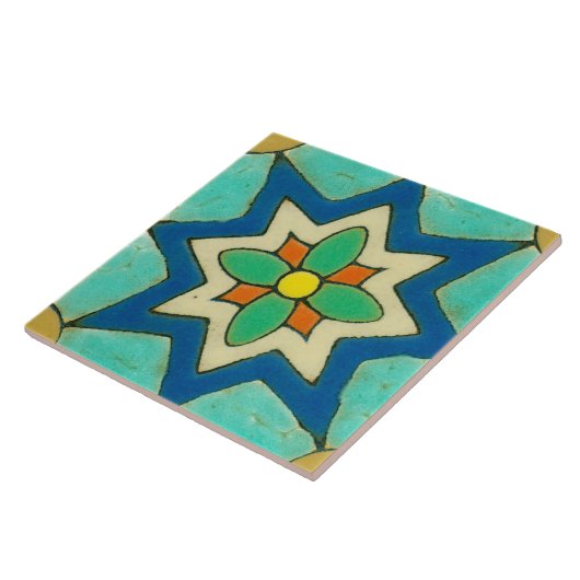 スペインのな花の陶磁器の写真のタイル タイル (側面)