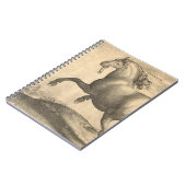 スペインのな馬のエレガントで旧式な版木、銅版、版画 ノートブック (左側)