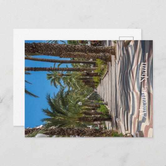 スペインのアリカンテ・エスプラネード シーズンポストカード (正面/裏面)