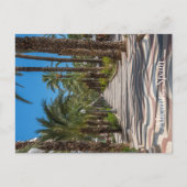 スペインのアリカンテ・エスプラネード シーズンポストカード (正面)
