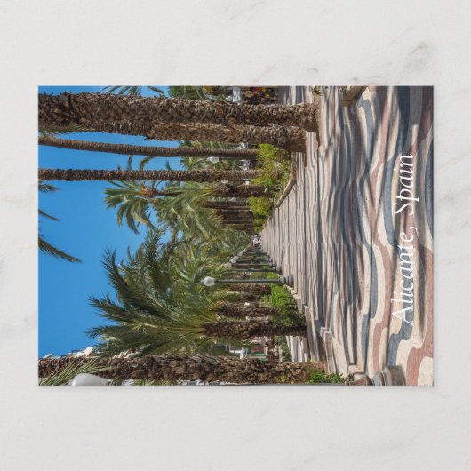 スペインのアリカンテ・エスプラネード シーズンポストカード (正面)