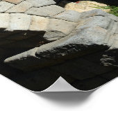 スペインのセゴビア水道 ポスター (角)