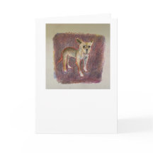 スペインのチワワ 誕生日カード