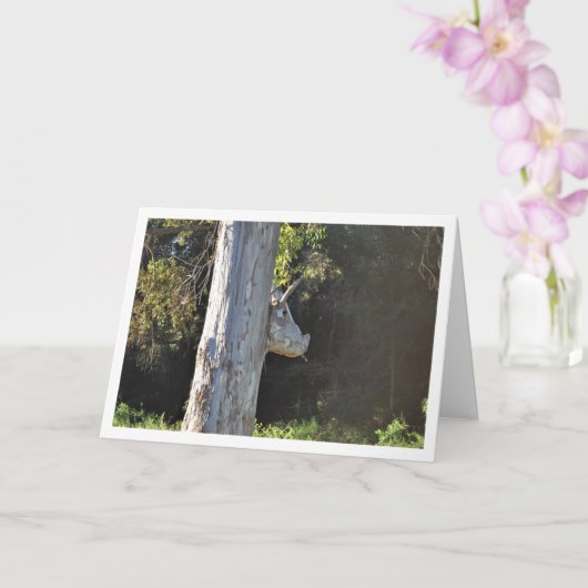 スペインのバレンシアにある闘牛木, スペイン語 カード (蘭)