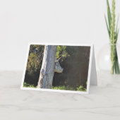 スペインのバレンシアにある闘牛木, スペイン語 カード (正面)