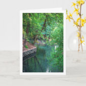 スペインのバレンシアのサン・ビセンテ・デ・リリア川の湖 カード (黄色い花)