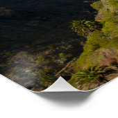 スペインのマスカ ポスター (コーナー)