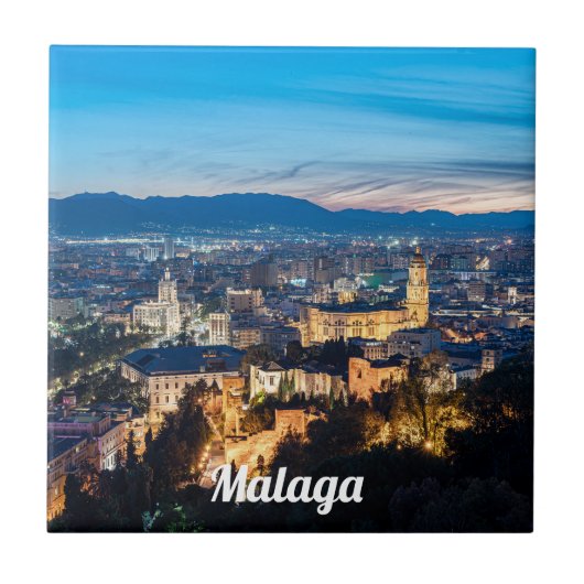 スペインのマラガにあるマラガ大聖堂の夜景 タイル (正面)