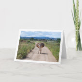 スペインのラバが通る地方の道 カード (正面)