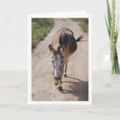 スペインのラバの肖像 カード (正面)