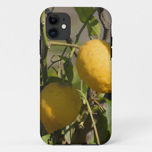 スペインのレモングラフィックス Case-Mate iPhoneケース (裏面)