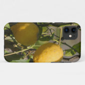 スペインのレモングラフィックス Case-Mate iPhoneケース (裏面(横))