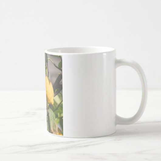 スペインのレモングラフィック コーヒーマグカップ (右)