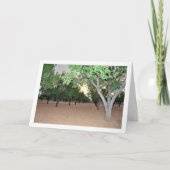 スペインのヴァレンシアにあるアーモンドの木の風景 カード (正面)