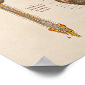 スペインのヴィンテージ解剖学プリント脳脊髄 ポスター (角)