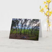 スペインの森の風景 カード (黄色い花)