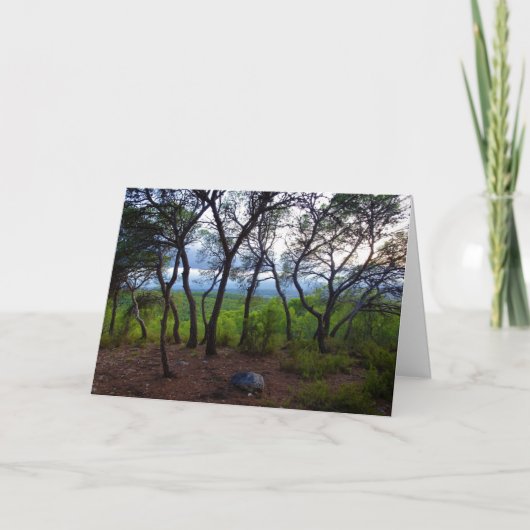 スペインの森の風景 カード (正面)