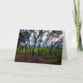 スペインの森林風景 カード (正面)