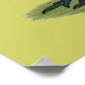 スペインの白い顔の雌鶏 ポスター (角)