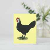 スペインの白い顔の雌鶏 ポストカード (スタンド正面)