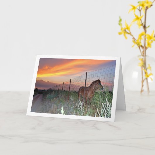 スペインの馬と夕日 カード (黄色い花)