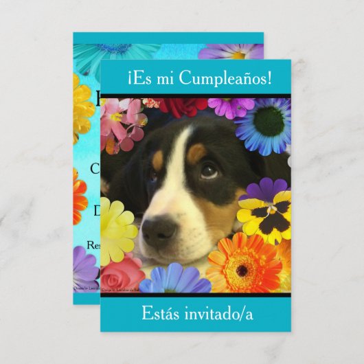 スペインの:フィエスタデクンプレニョスインヴィタシオン 招待状 (正面/裏面)