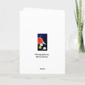 スペインの：女の子だ！ウナニーニャ！ 案内状 (裏面)