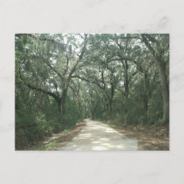 スペインのMoss, Georgetown County, SC ポストカード