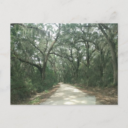 スペインのMoss, Georgetown County, SC ポストカード (正面)