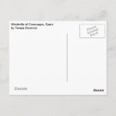 スペインはがきからの挨拶 ポストカード (裏面)