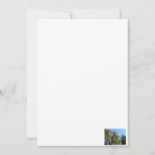 スペインキヌヤ（スパニッシュモス）で覆われたセダー 招待状 (裏面)